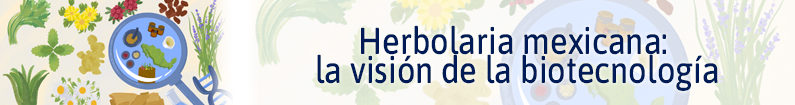 Banner - Herbolaria mexicana: la visión de la biotecnología